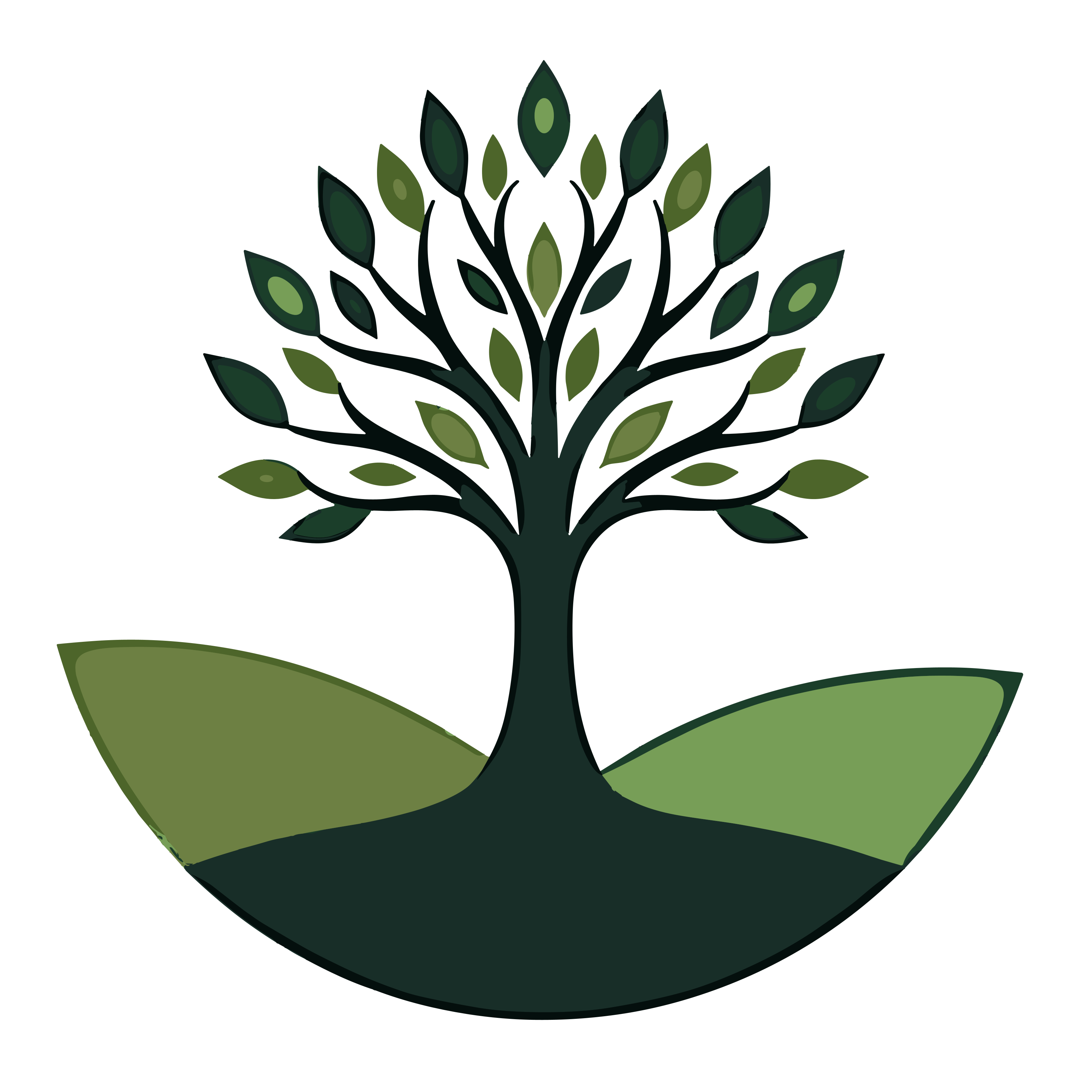 Animo logo